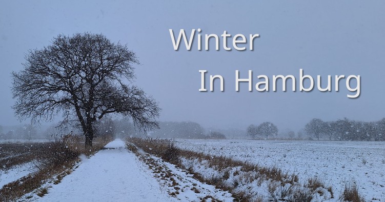 Winter in Hamburg